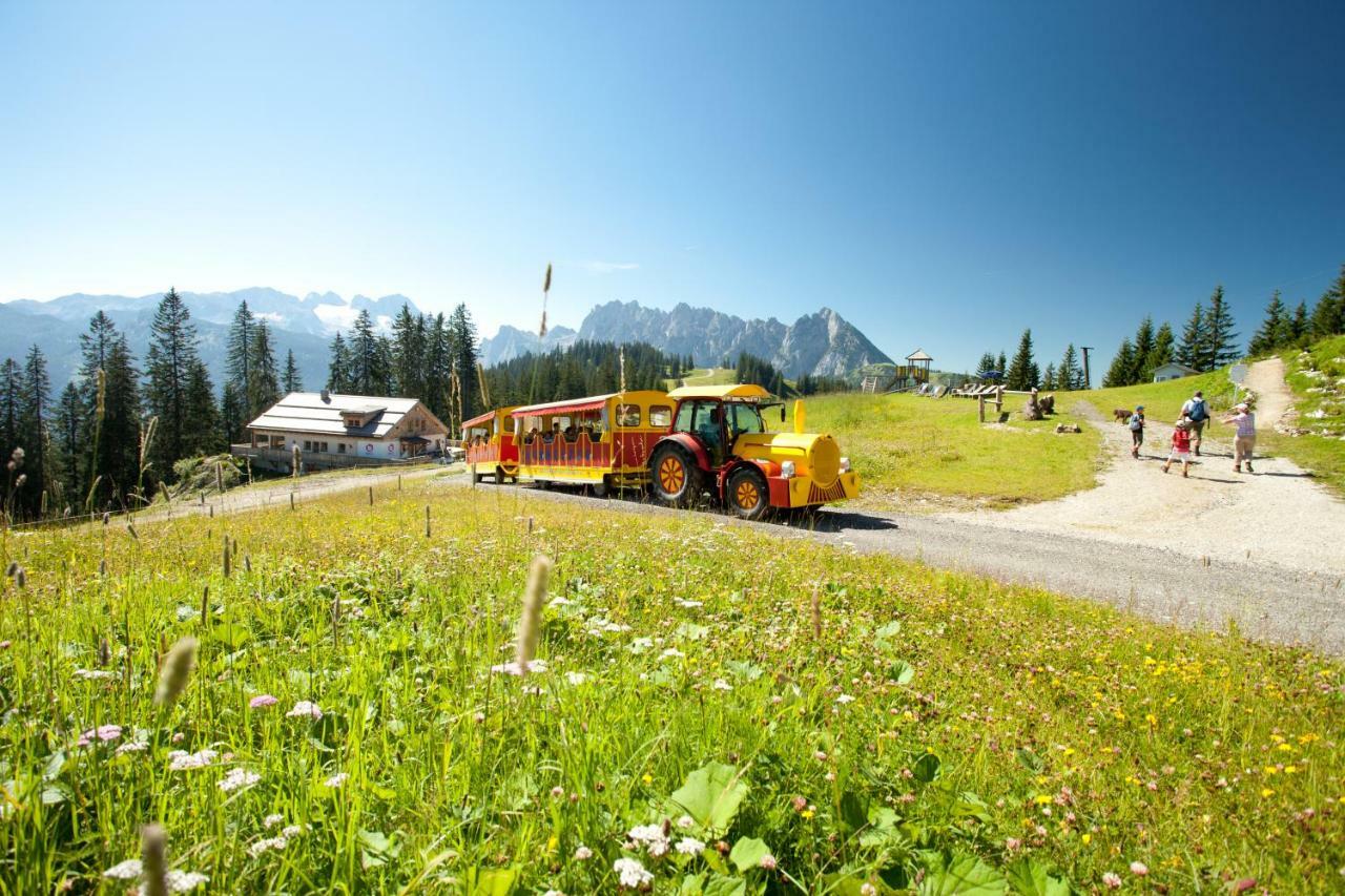Haus Mary Daire Russbach am Pass Gschütt Dış mekan fotoğraf