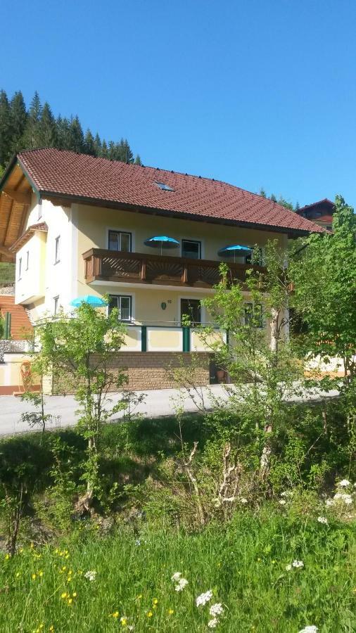 Haus Mary Daire Russbach am Pass Gschütt Dış mekan fotoğraf