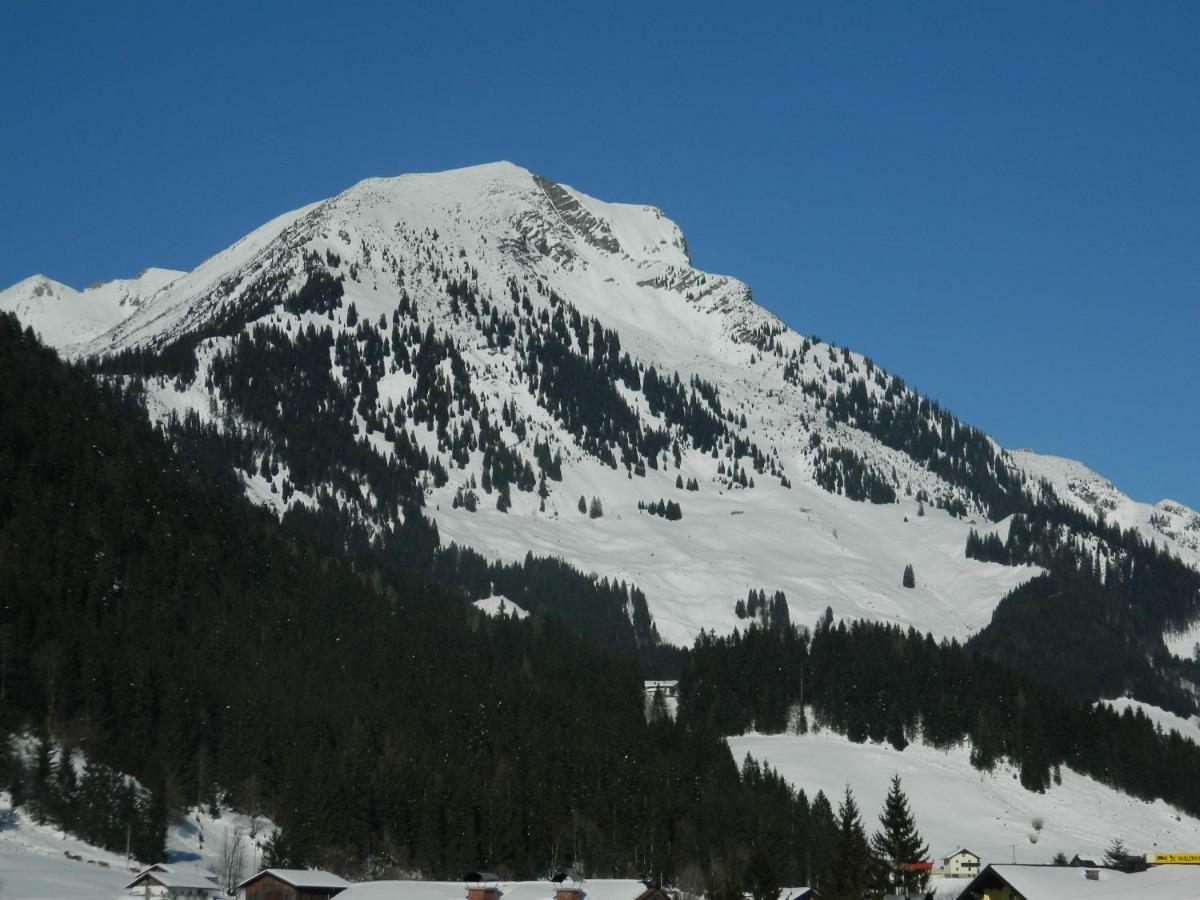 Haus Mary Daire Russbach am Pass Gschütt Dış mekan fotoğraf